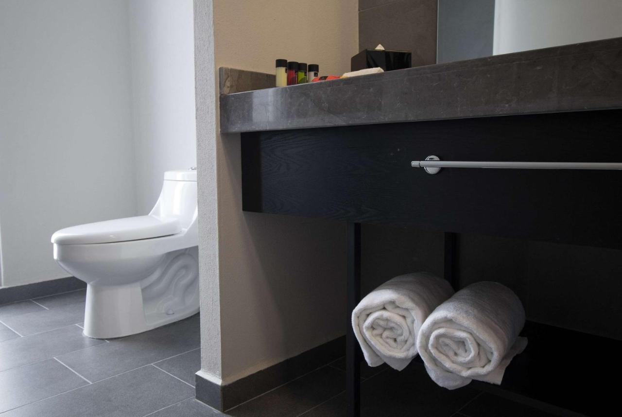 Tryp By Wyndham San Luis Potosi Hotel & Suites Екстериор снимка